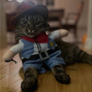 Cowboy Cat Costume - Blue and Brown